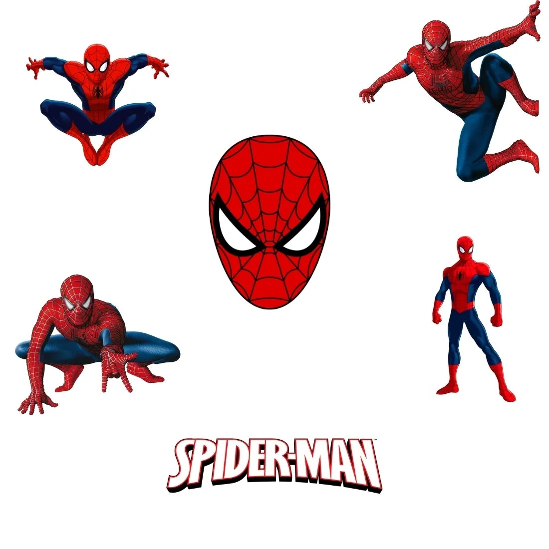 Spider Superhero Theme Cutout (12 Pcs)