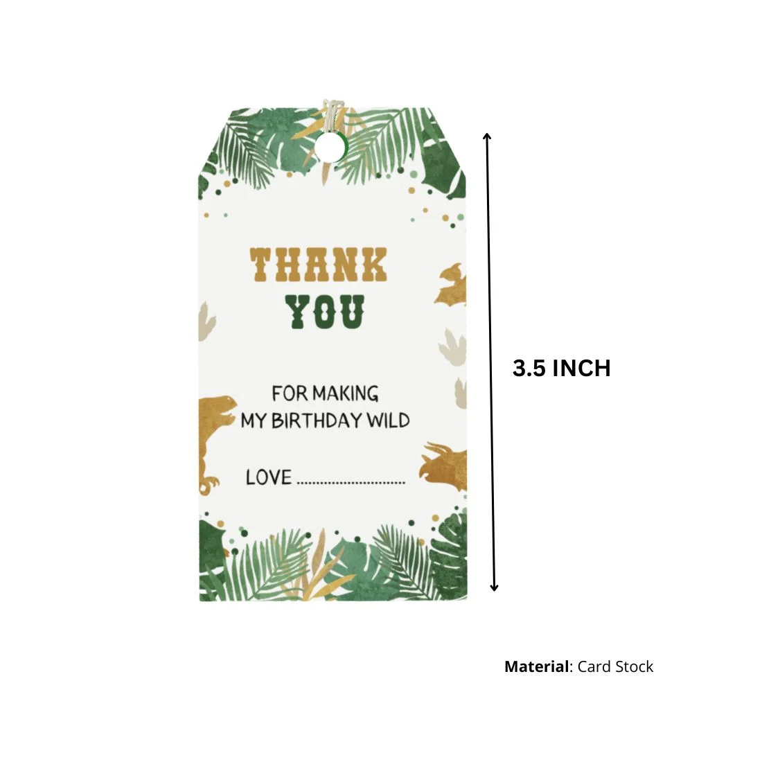 Dinosaur Theme Birthday Favour Tags (2 x 3.5 inches/250 GSM Cardstock/Multicolour/30Pcs) - Premium Handcrafted 300 GSM Thank You Cards by Party Decor Mall India - View 2