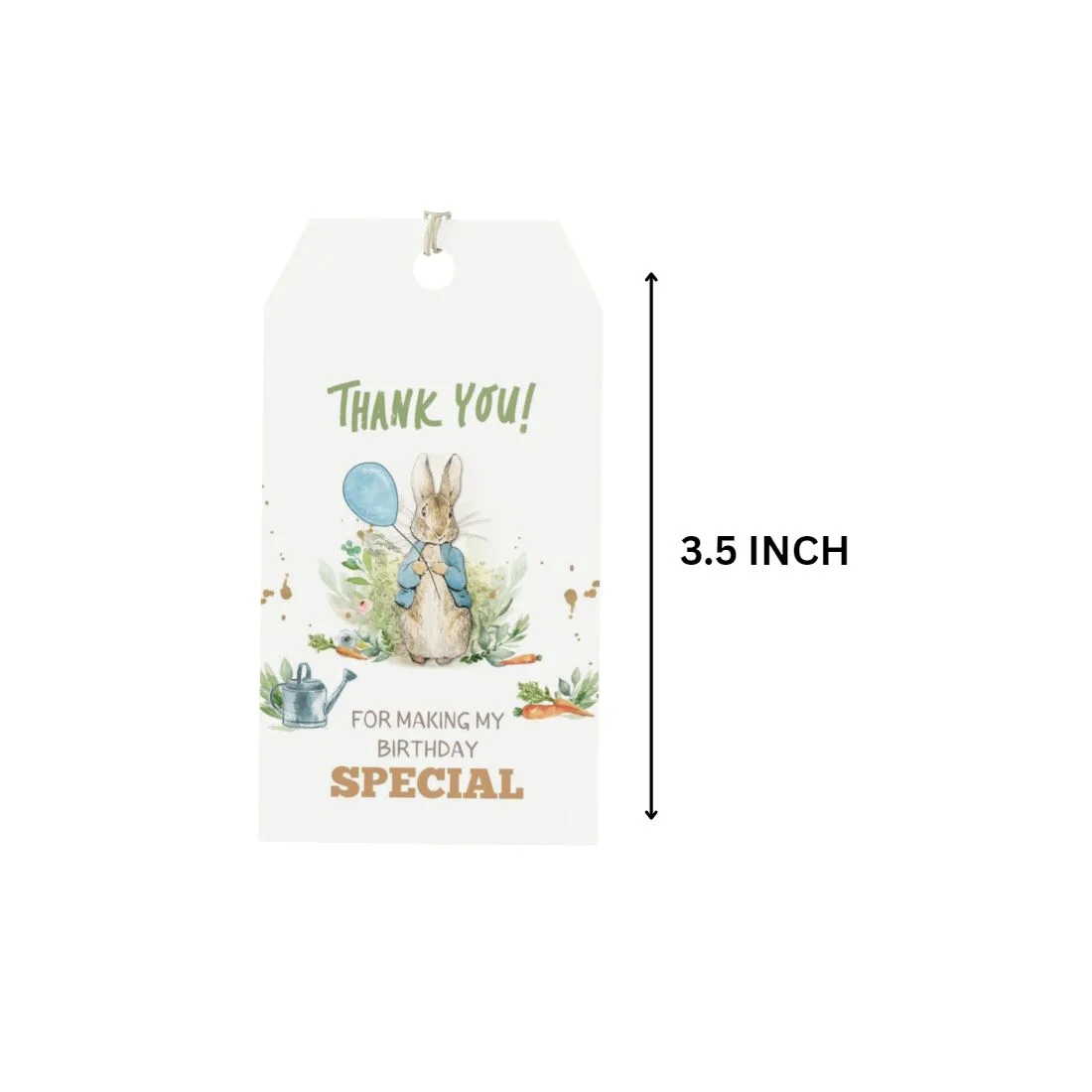 Peter Rabbit Theme Birthday Favour Tags (2 x 3.5 inches/250 GSM Cardstock/Mixcolour/30Pcs) - Premium Handcrafted 300 GSM Thank You Cards by Party Decor Mall India - View 2