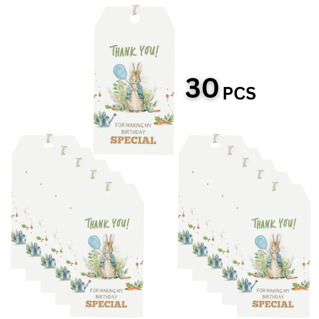 Peter Rabbit Theme Birthday Favour Tags (2 x 3.5 inches/250 GSM Cardstock/Mixcolour/30Pcs) - Premium Handcrafted 300 GSM Thank You Cards by Party Decor Mall India - View 3