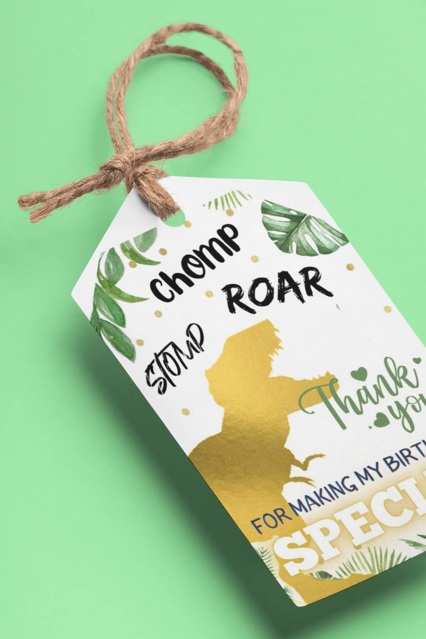 Dinosaur Theme Model 2 Birthday Favour Tags (2 x 3.5 inches/250 GSM Cardstock/Multicolour/30Pcs)
