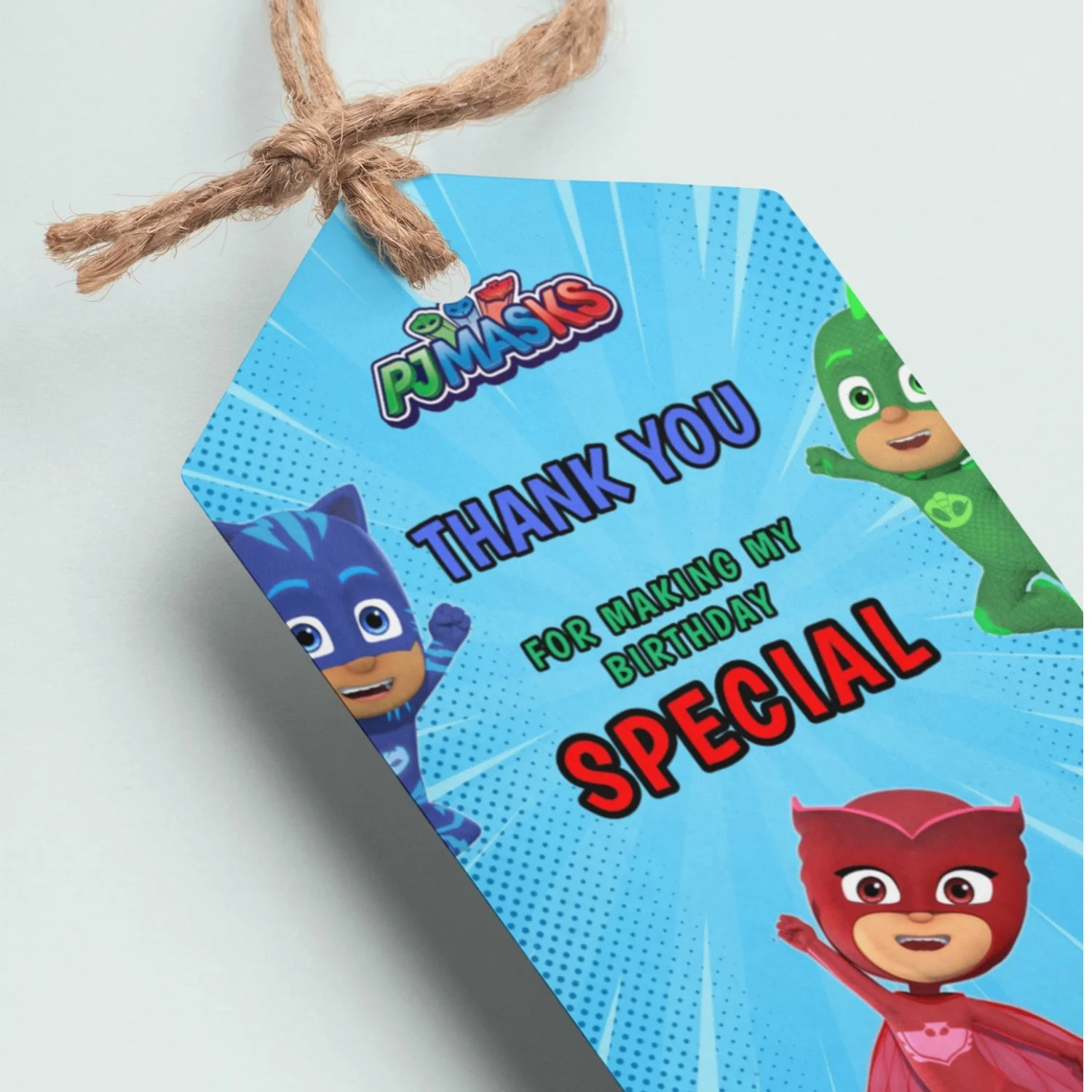 PJ Masks Theme Thank You Cards & Return Gift Tags - 30Pcs, 2x3.5, 250 GSM Cardstock (PJ Masks)
